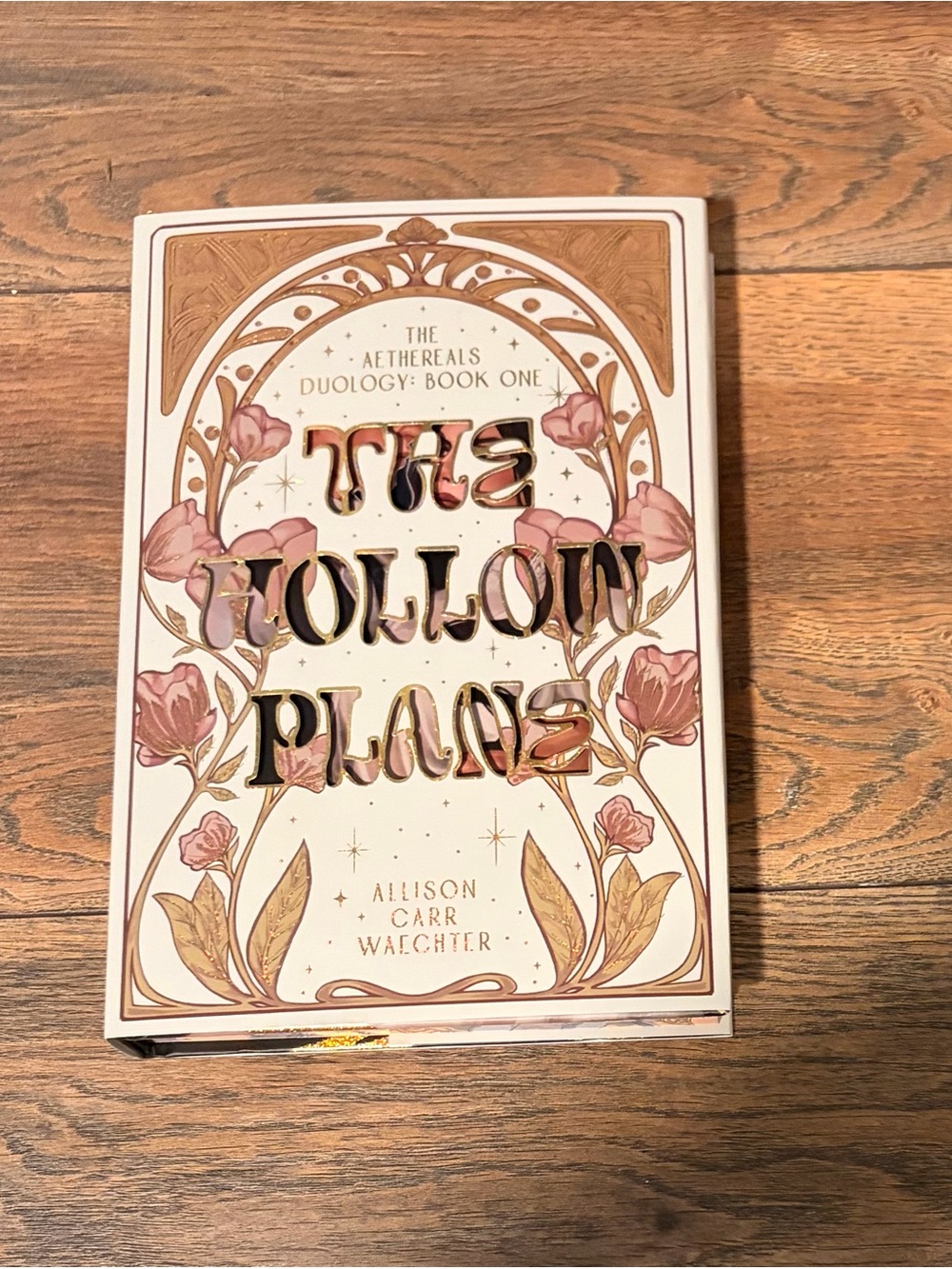The Bookish Box - The Hollow Plane